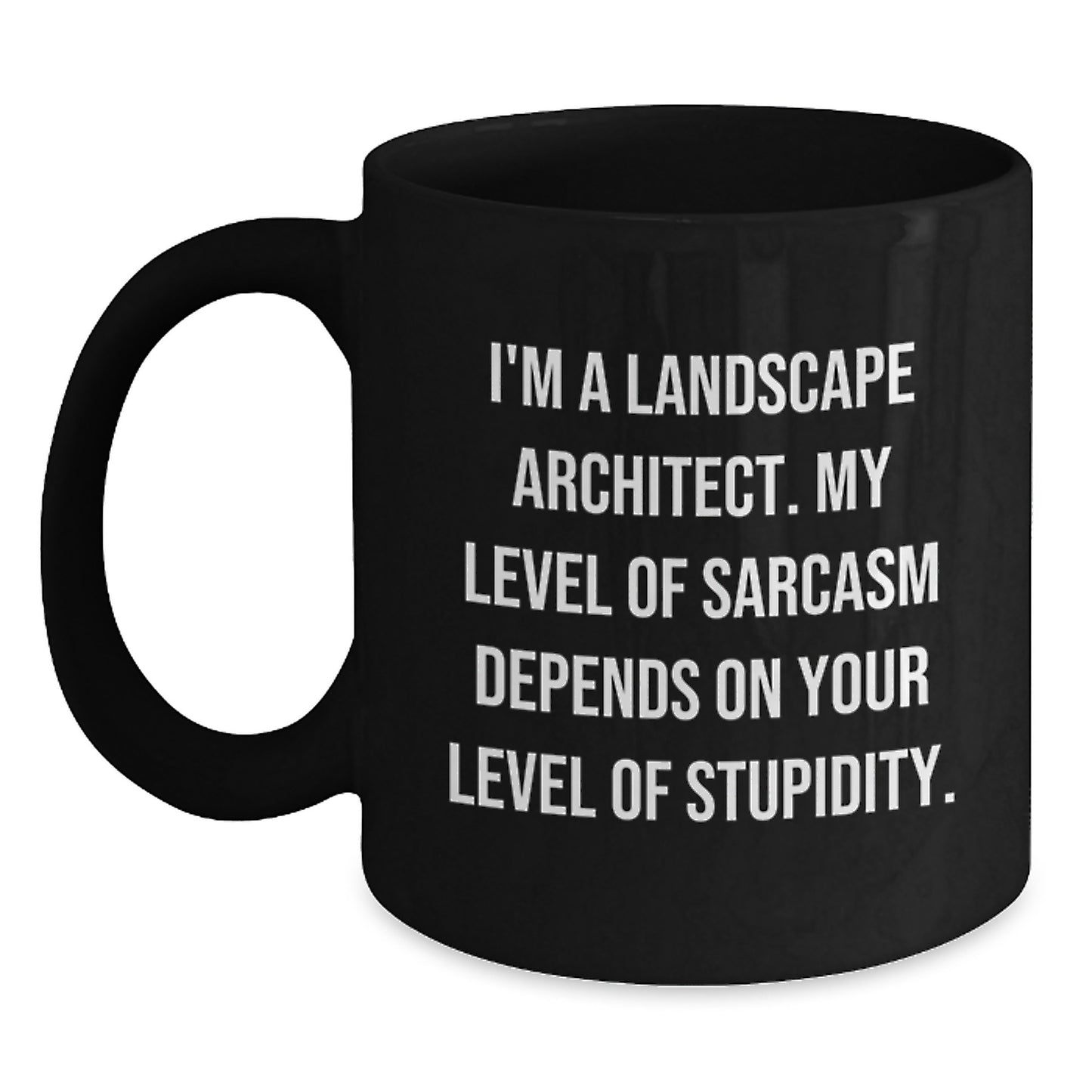Sarcastic Landscape Architect Mug, Funny Birthday Unique Gifts from Friends, Unique Coffee Mugs for Landscape Architect, Black Ceramic Mugs with Sassy Quote - Main