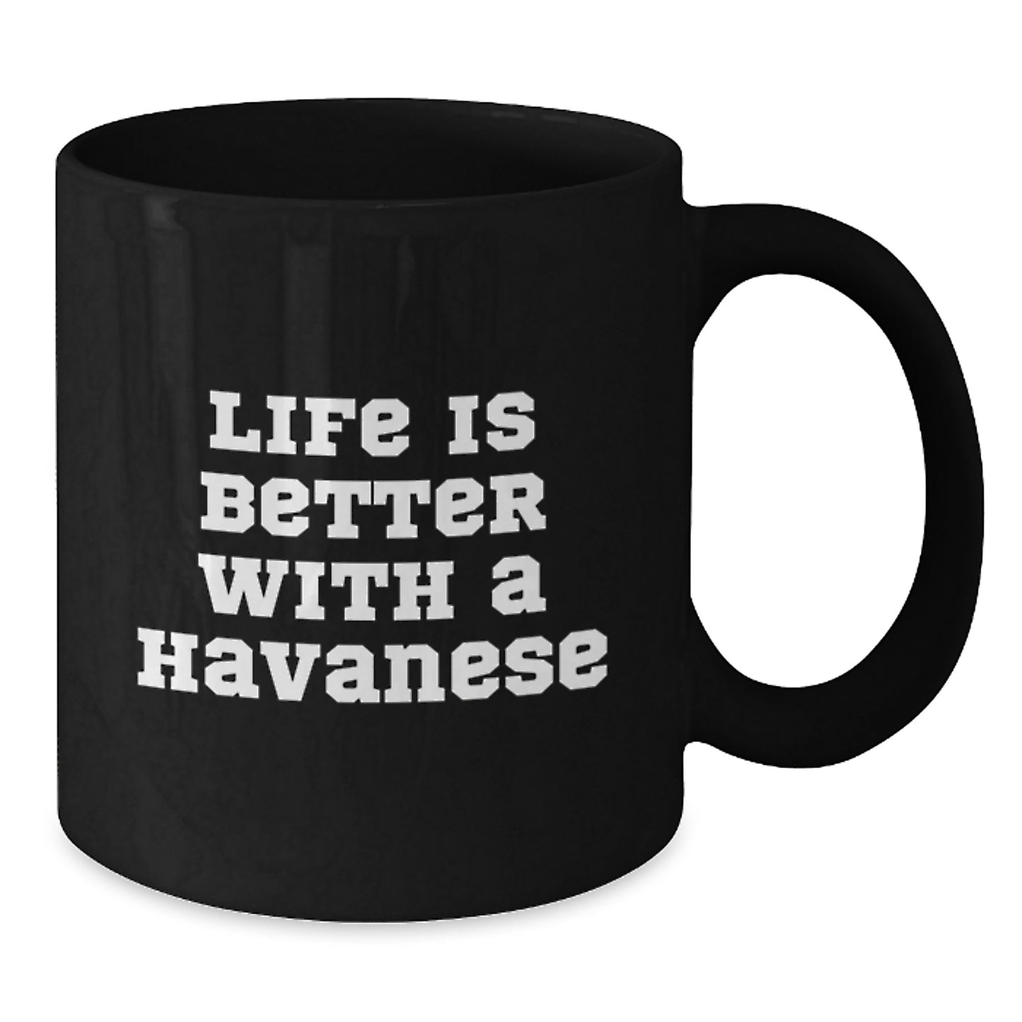 Havanese Dog Lover Gifts, Funny Quote Coffee Mug for Graduation, Gifts from Friends, Family, or Coworkers for Any Havanese Dog Enthusiast, Black 11oz or 15oz Mug - Additional