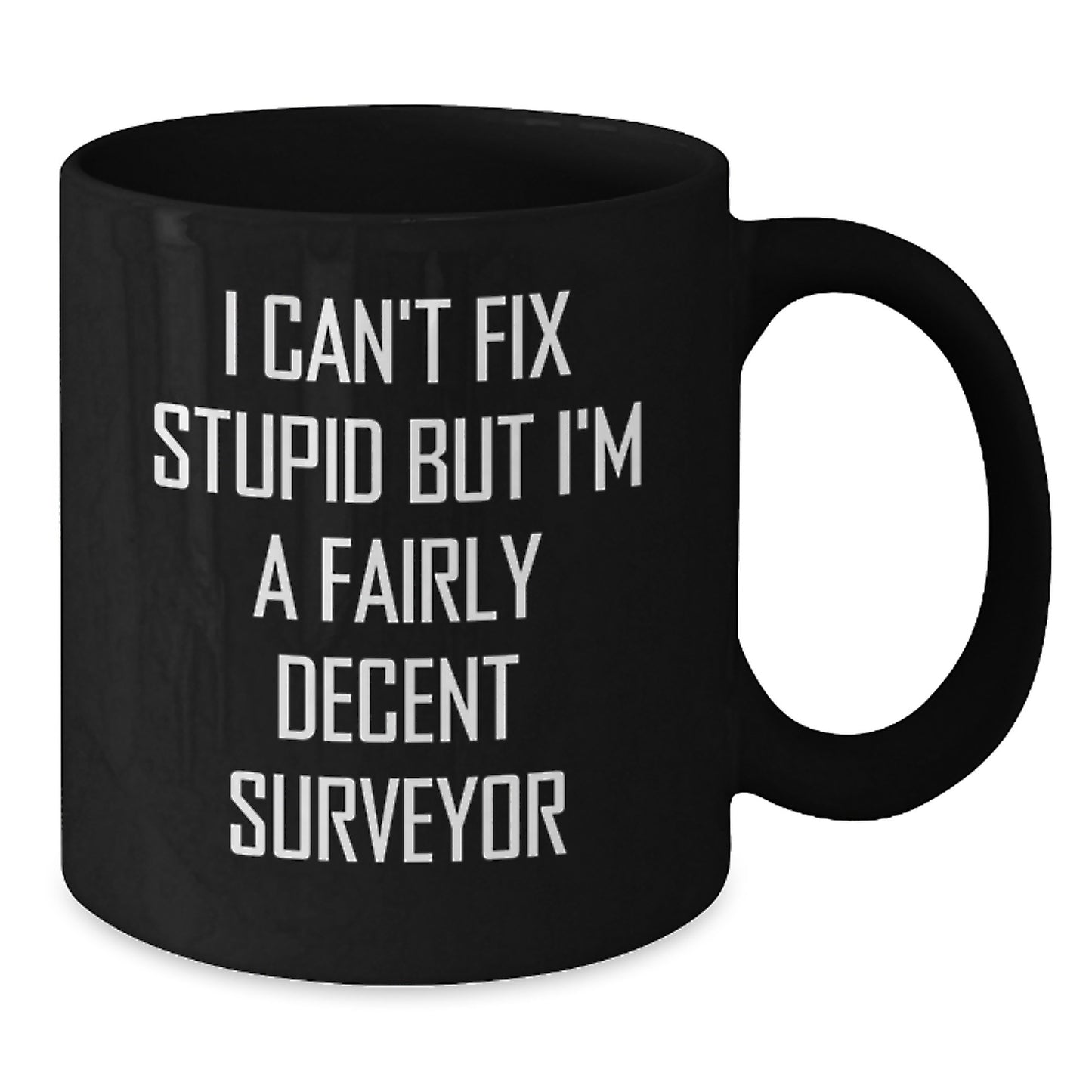 Funny Surveyor Gift for Friends Birthday, I Can't Fix Stupid But I'm A Fairly Decent Surveyor Black Coffee Mug, Gifts from Friends to Surveyor - Additional