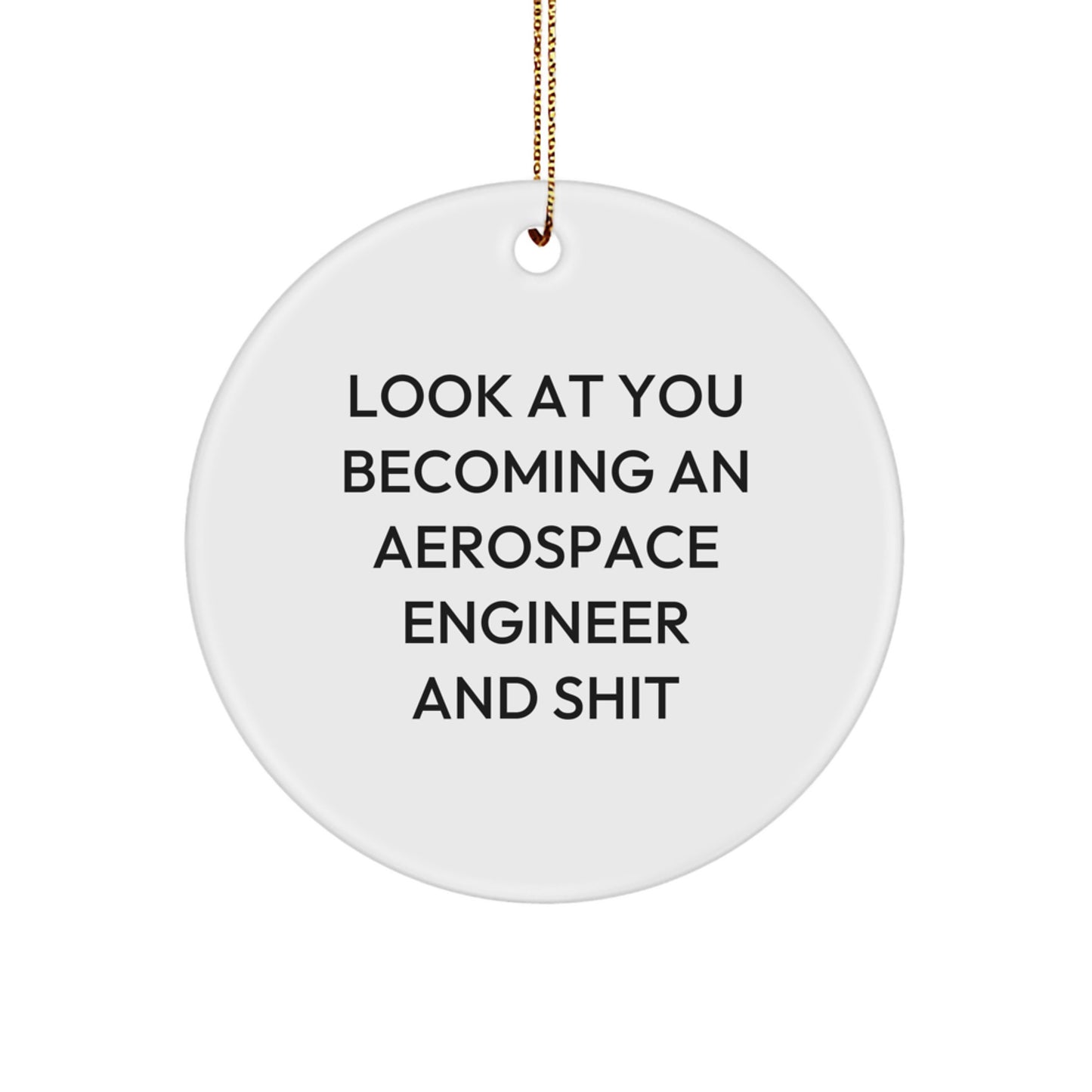 Funny Aerospace Engineer Circle Ornament, Gifts from Friends and Family, Look at You Becoming an Aerospace Engineer and Shit, Christmas Unique Gifts for Men, Women, and Coworkers - Image 1