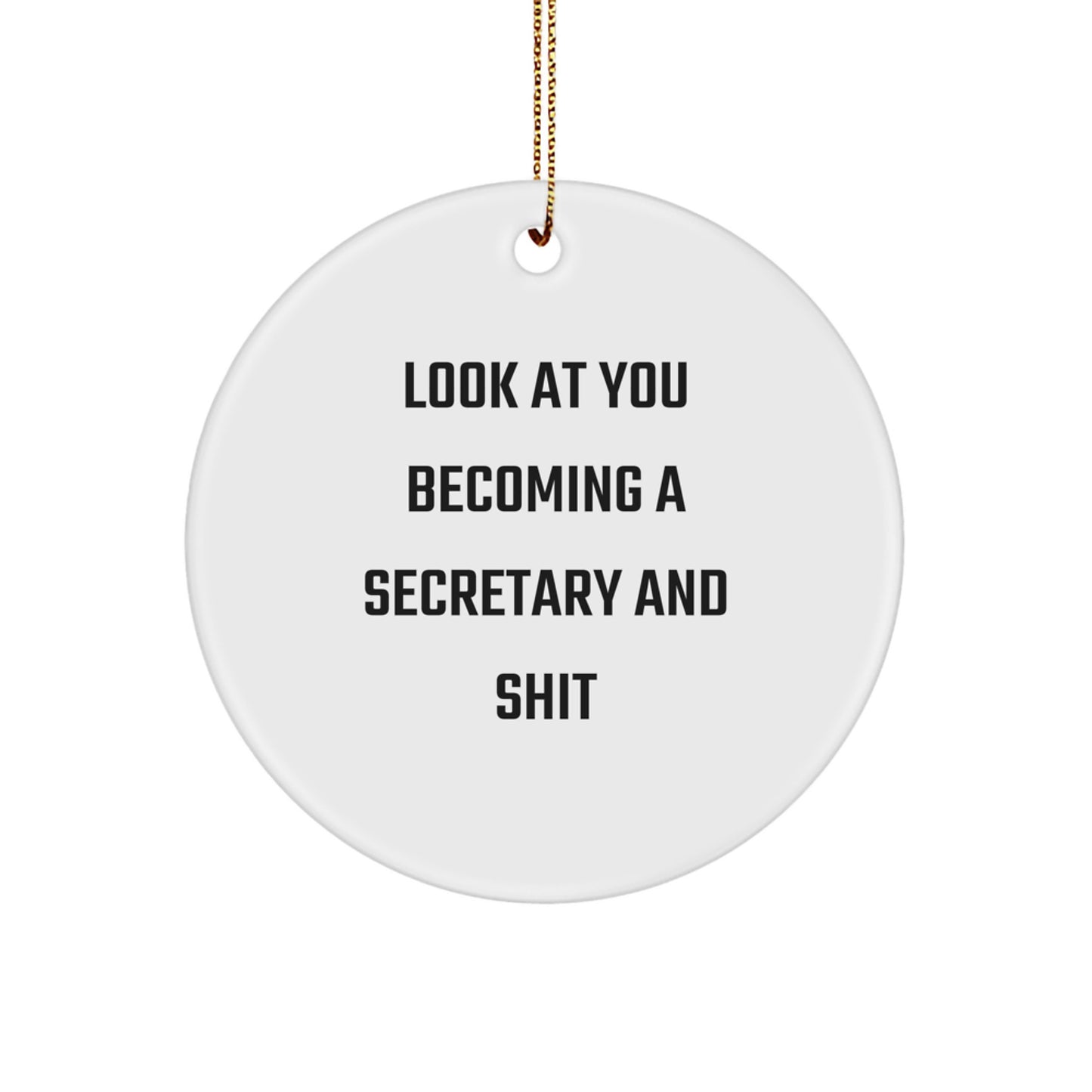 Witty Secretary Circle Ornament for Christmas Unique Gifts from Friends, Humorous Office Decor - Image 1