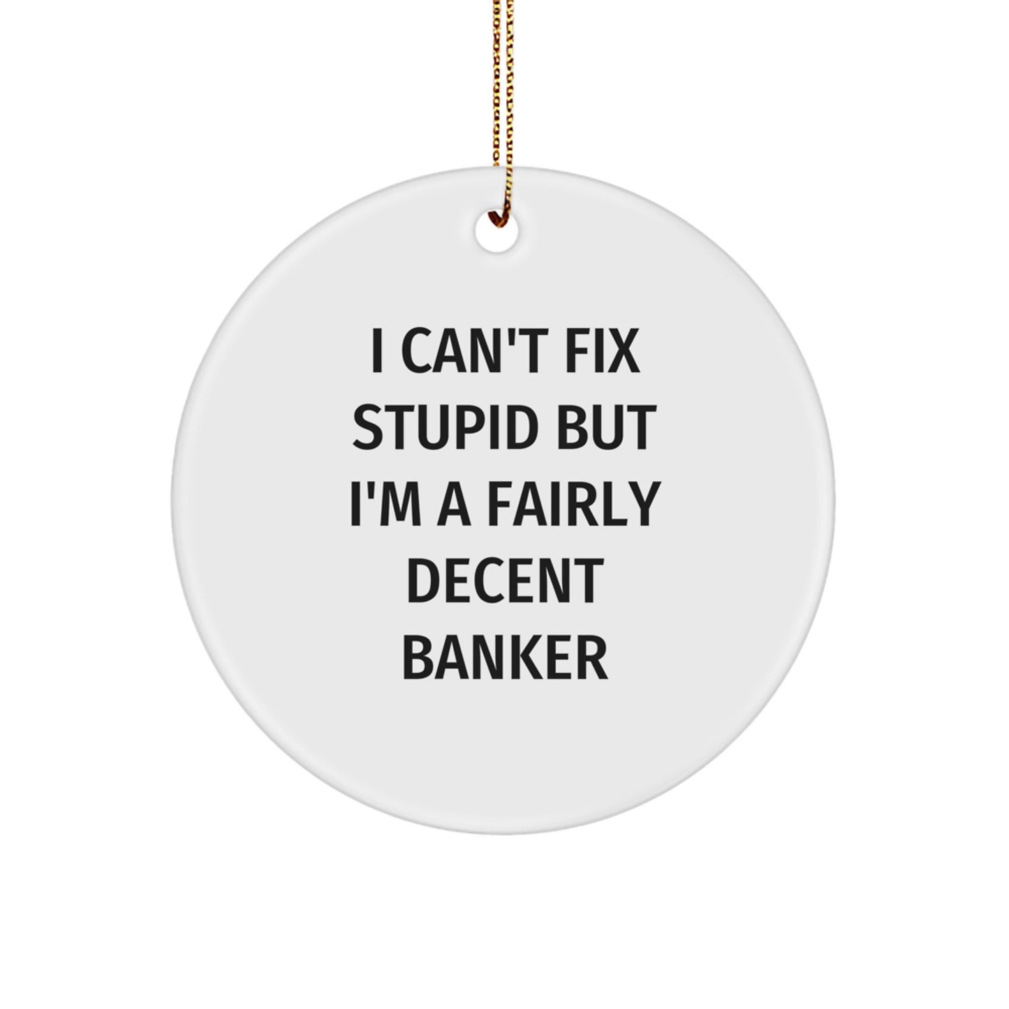 Funny Banker Gifts from Friends to Men, Circle Ornament 'I Can't Fix Stupid But I'm A Fairly Decent Banker' Christmas Unique Presents - Image 1