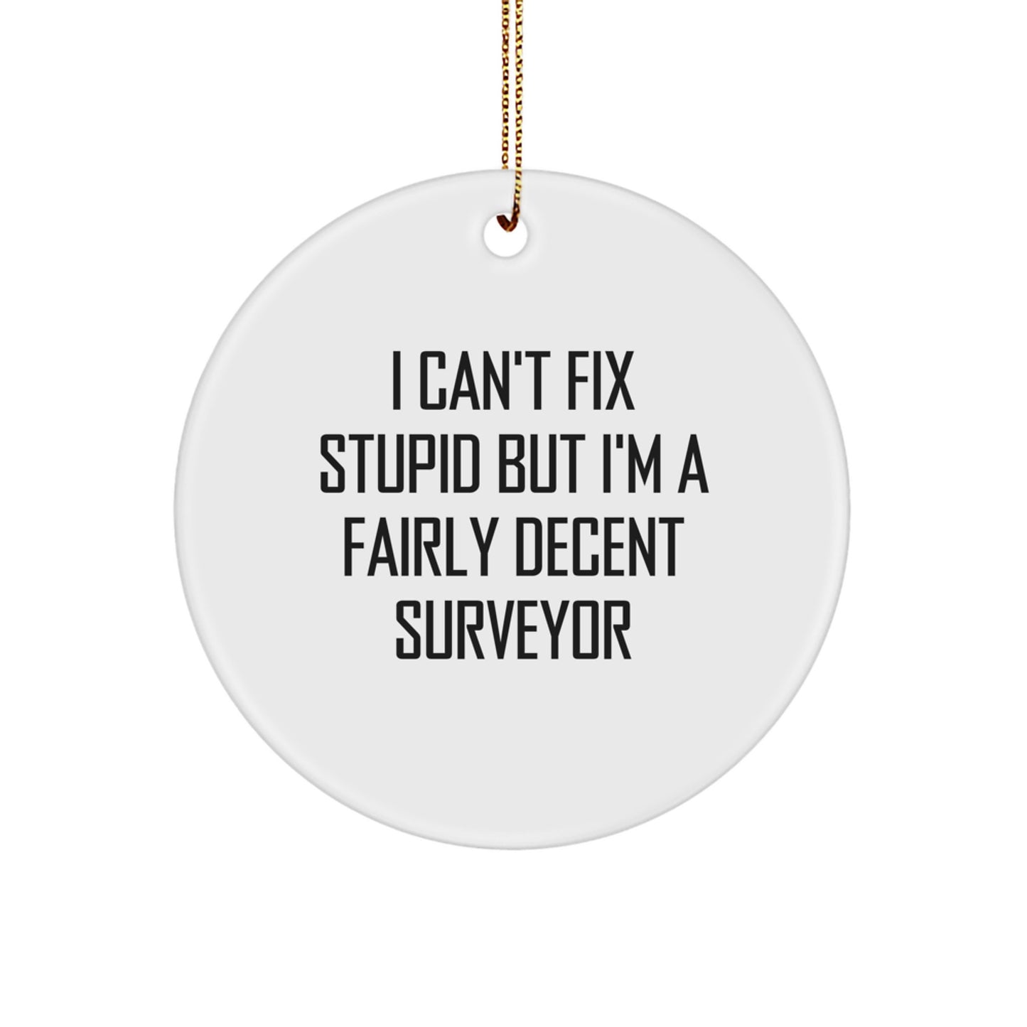 Funny Surveyor Gifts for Surveyor Friends - I Can't Fix Stupid But I'm A Fairly Decent Surveyor Circle Ornament, White, 2.75" Tall, Christmas Unique Gifts from Friends - Image 1