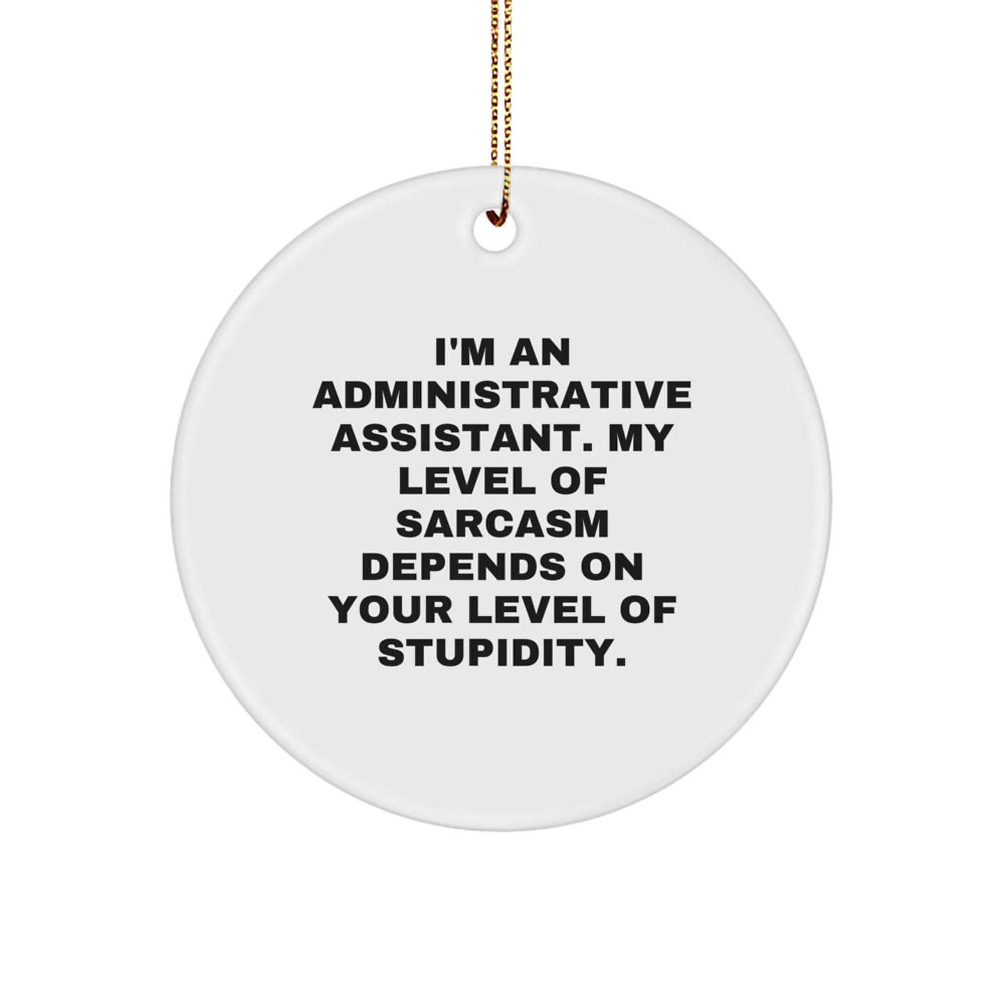 Funny Administrative Assistant Gifts from Friends to Coworkers - Circle Ornament with Sarcasm Quote for Christmas - Image 1