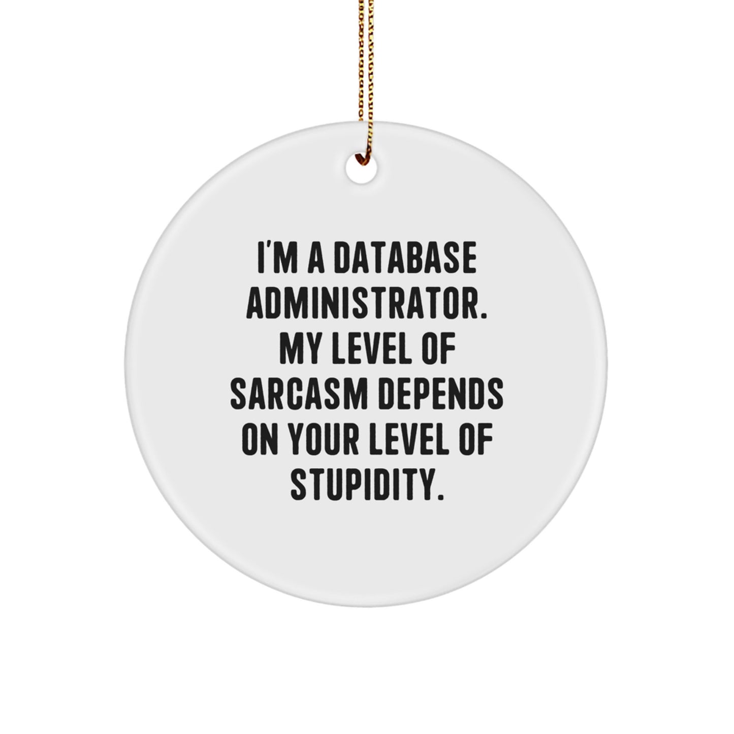Unique Gifts from Family for Database Administrator, Funny 'I'm A Database Administrator. My Level Of Sarcasm Depends On Your Level Of Stupidity.' Christmas Circle Ornament - Image 1
