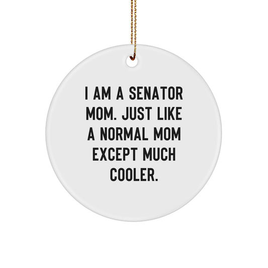 Senator Circle Ornament, Funny Quote Gifts from Men or Women to Senator, Christmas Unique Gifts - Image 1