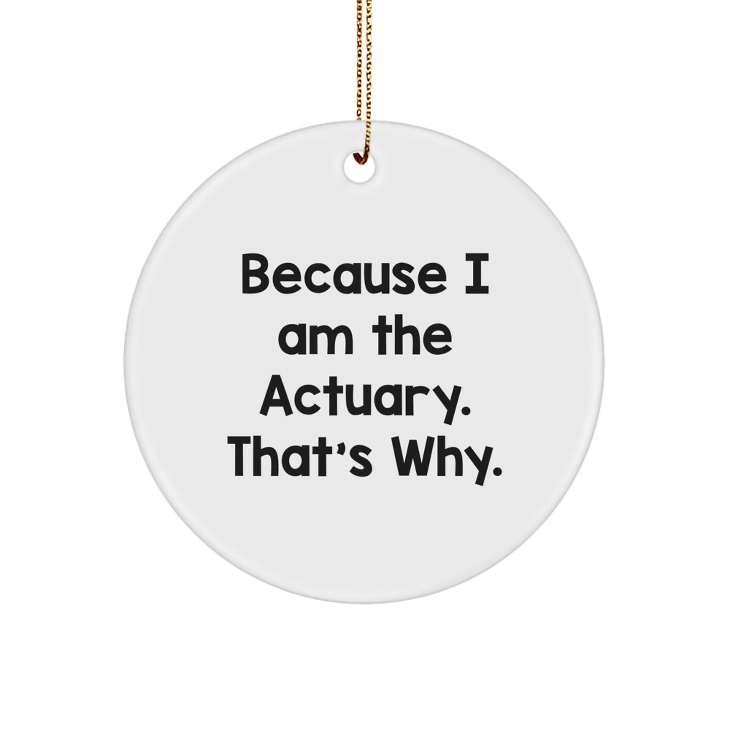 Actuary Gifts Because I Am The Actuary. That's Why. - Christmas Circle Ornament for Men, Women, Family, Friends, Coworkers - Image 1