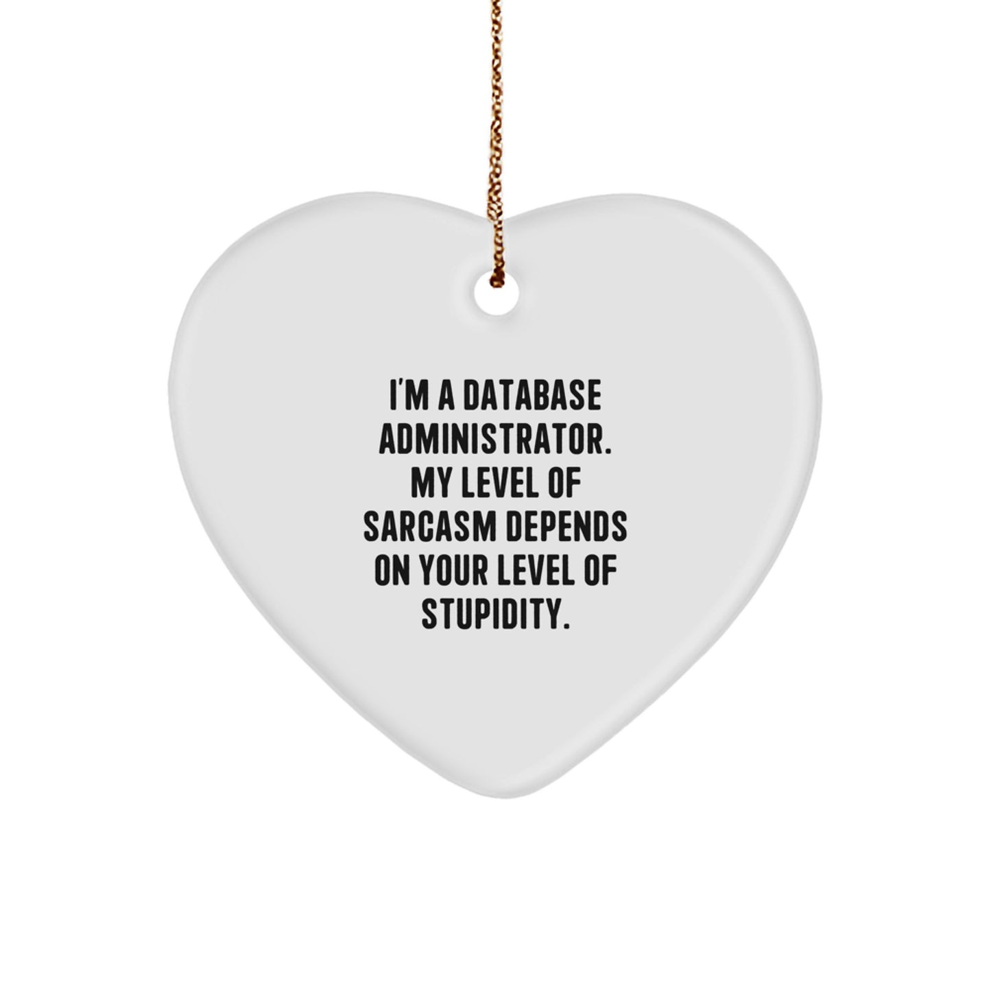 Funny Database Administrator Heart Ornament Gifts from a Sarcastic Friend, Perfect for Men or Women - Unique Christmas Unique Gifts for Database Administrator - Image 1