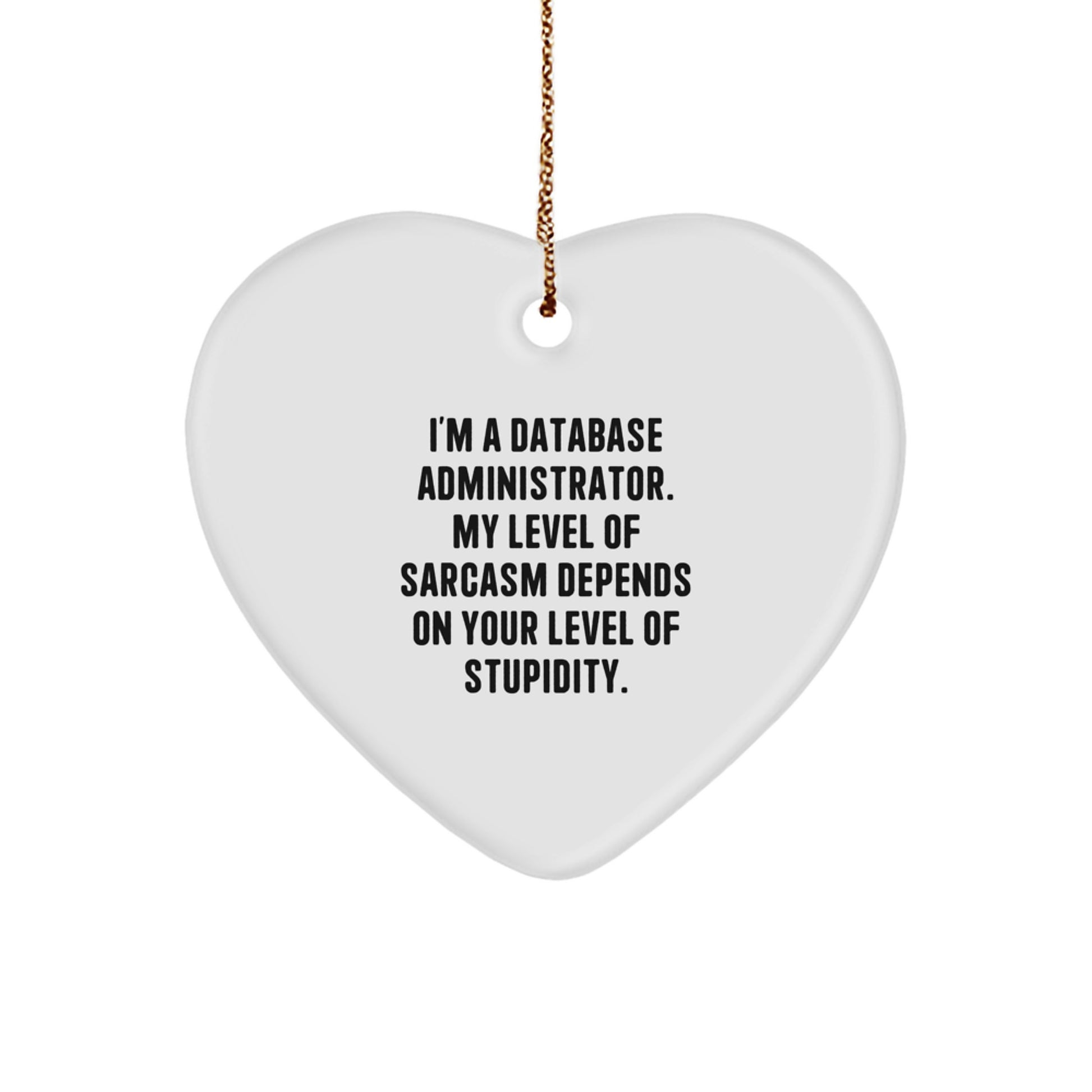 Funny Database Administrator Heart Ornament Gifts from a Sarcastic Friend, Perfect for Men or Women - Unique Christmas Unique Gifts for Database Administrator - Image 1