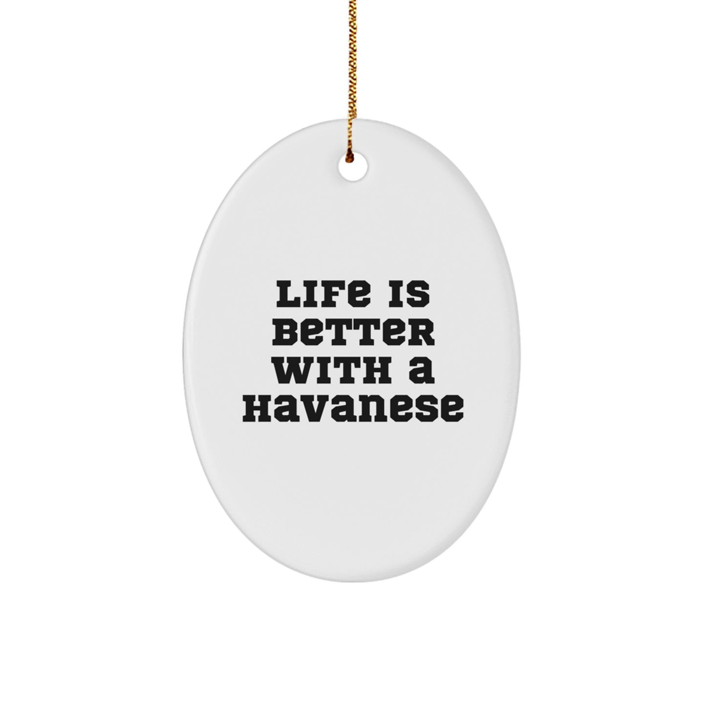 Havanese Dog Lovers Gifts from Men to Family - Oval Ornament with Life Is Better With A Havanese Quote for Christmas - Image 1