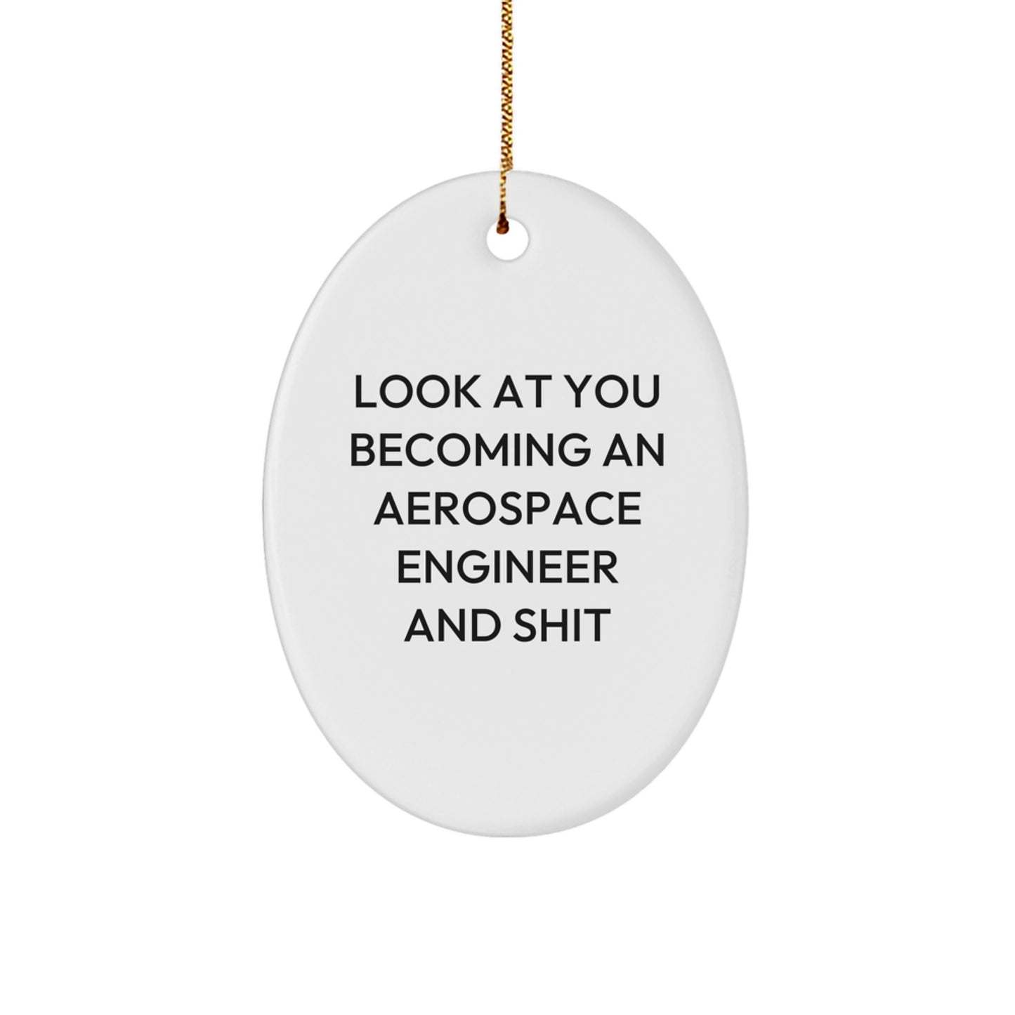 Gifts from Family for Aerospace Engineer - Oval Ornament with Funny Quote 'Look At You Becoming An Aerospace Engineer And Shit' - Perfect Christmas Unique Gift for Men or Women Friends Coworkers - Image 1