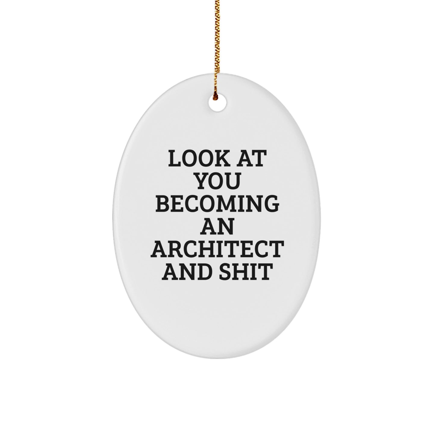 Funny Architect Oval Ornament, Gifts from Men to Friends, Christmas Unique Gifts for Architects - Image 1
