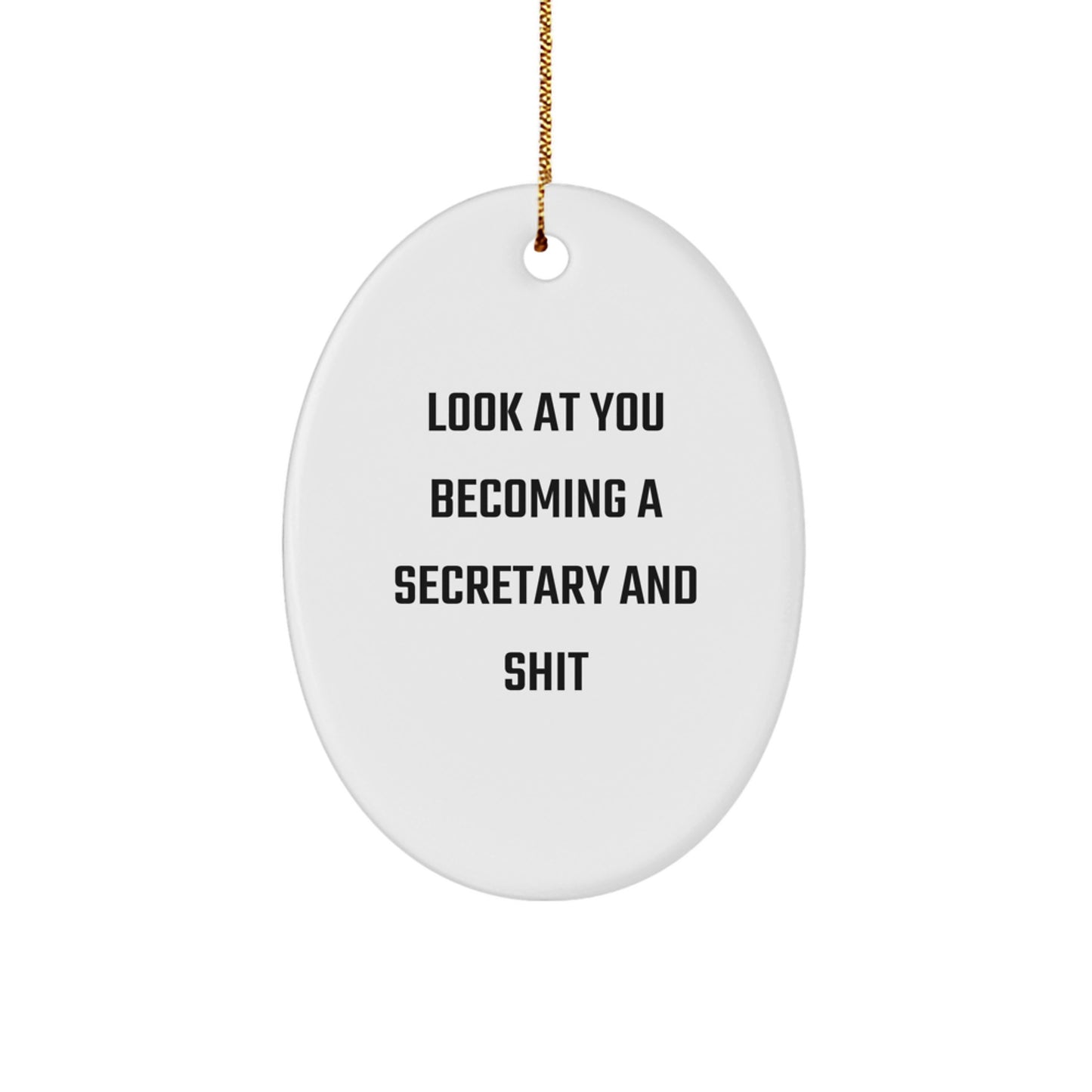 Funny Secretary Oval Ornament Gifts from Friends for Secretary, Christmas Unique Secretary Presents, Oval Ornament for Secretary - Image 1