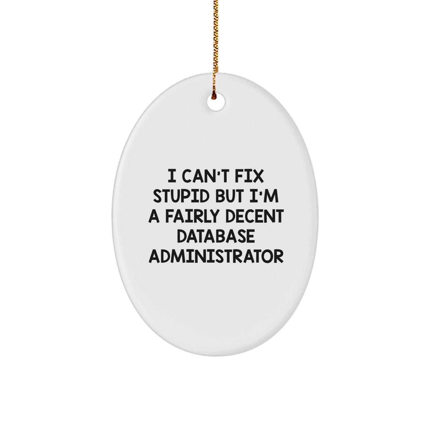 Funny Database Administrator Oval Ornament Gifts from Friends, Coworkers - 'I Can't Fix Stupid But I'm A Fairly Decent Database Administrator' Christmas Unique Gifts for Men, Women, Coworkers - Image 1