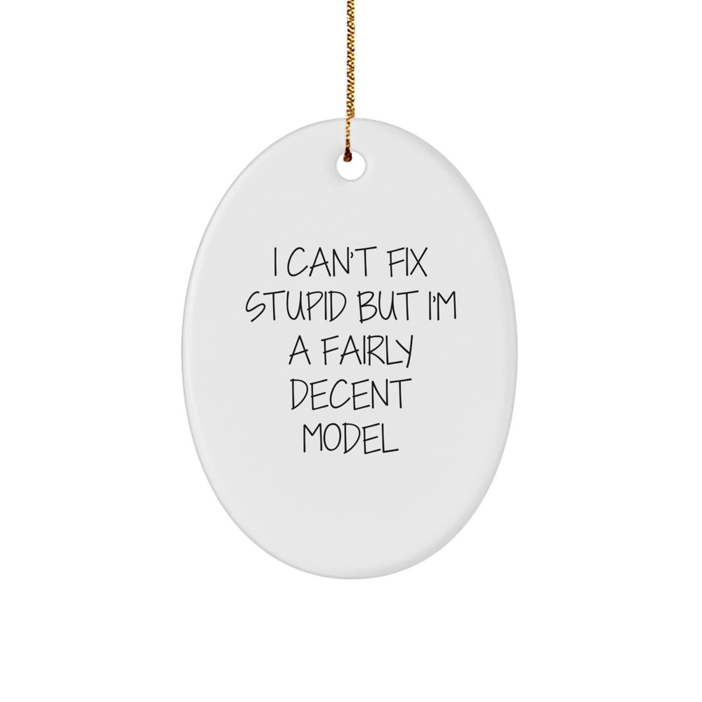Model Gifts from Family and Friends - I Can't Fix Stupid But I'm A Fairly Decent Oval Ornament, Funny Christmas Decor - Image 1
