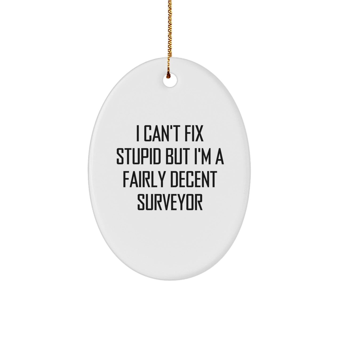 Funny Surveyor Gifts for Men, Oval Ornament with 'I Can't Fix Stupid But I'm A Fairly Decent Surveyor' Quote, Gifts from Husband, Christmas Unique Gifts for Surveyor - Image 1