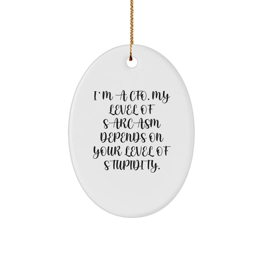 CFO Funny Sarcasm Gifts for Friends and Family, Oval Ornament for Men and Women, White, Christmas Unique Gifts from Women - Image 1