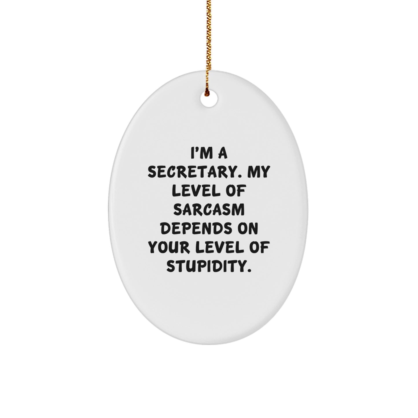 Funny Secretary Oval Ornament with Sarcasm Humor, Gifts from Friends for the Office, Christmas Unique Decorations for Secretary - Image 1