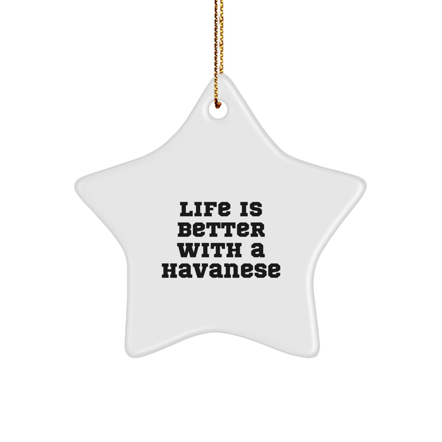 Funny Havanese Dog Gifts for Friends - Star Ornament with 'Life Is Better With A Havanese' Quote, Gifts from Family, Christmas Unique Gifts for Havanese Dog Lovers - Image 1