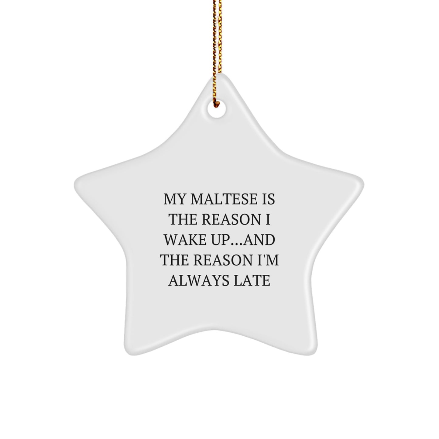 Funny Maltese Dog Gifts for Christmas with Star Ornament - Gifts from Friends and Family - Image 1