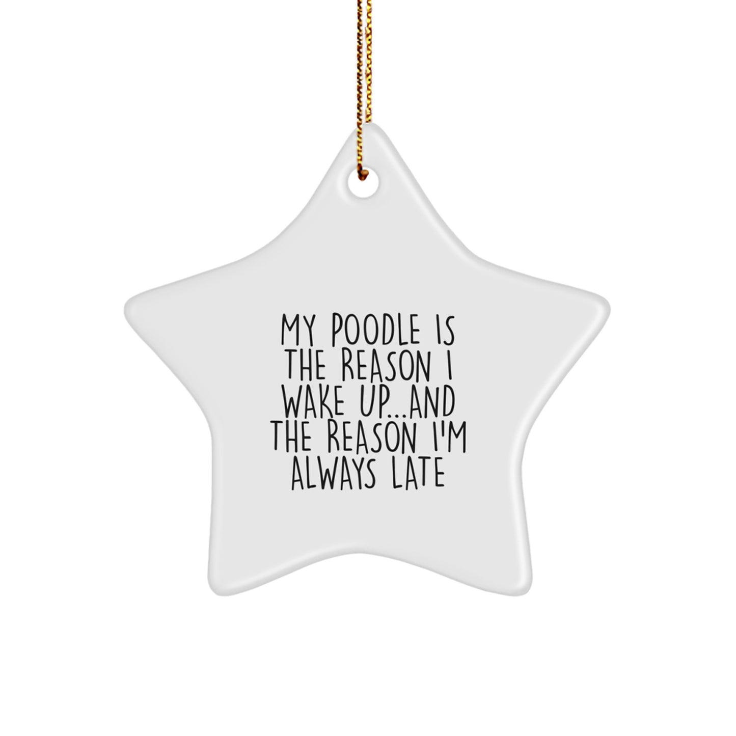 Funny Poodle Dog Owner Gifts from Men to Friends for Christmas Unique Star Ornament - Image 1