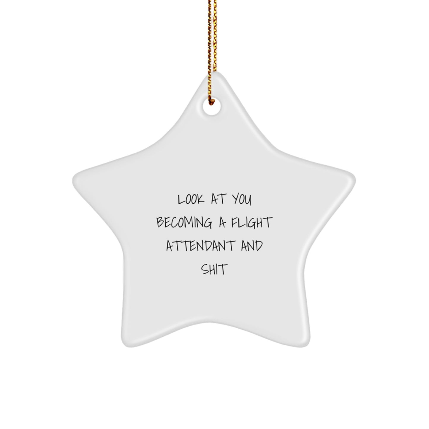 Funny Flight Attendant Gifts, Look at You Becoming One and Shit, Star Ornament for Christmas, Gifts from Friends, Family, Coworkers, Perfect for Flight Attendants, Men, Women, and More - Image 1
