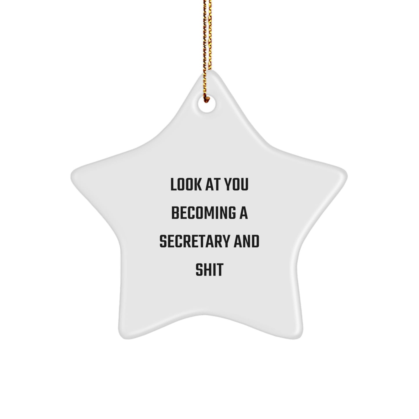 Funny Secretary Christmas Star Ornament Gifts from Friends for Secretary, Inspirational Quotes Star Decoration, White Star Shaped MDF Material - Image 1