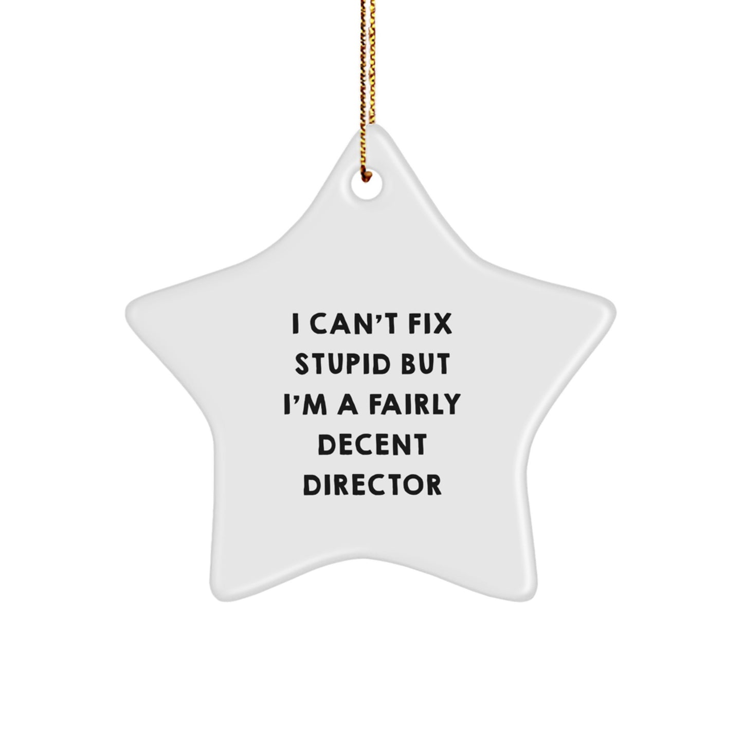 Funny Director Star Ornament, I Can't Fix Stupid But I'm A Fairly Decent Director, Christmas Unique Gifts from Friends to Directors - Image 1