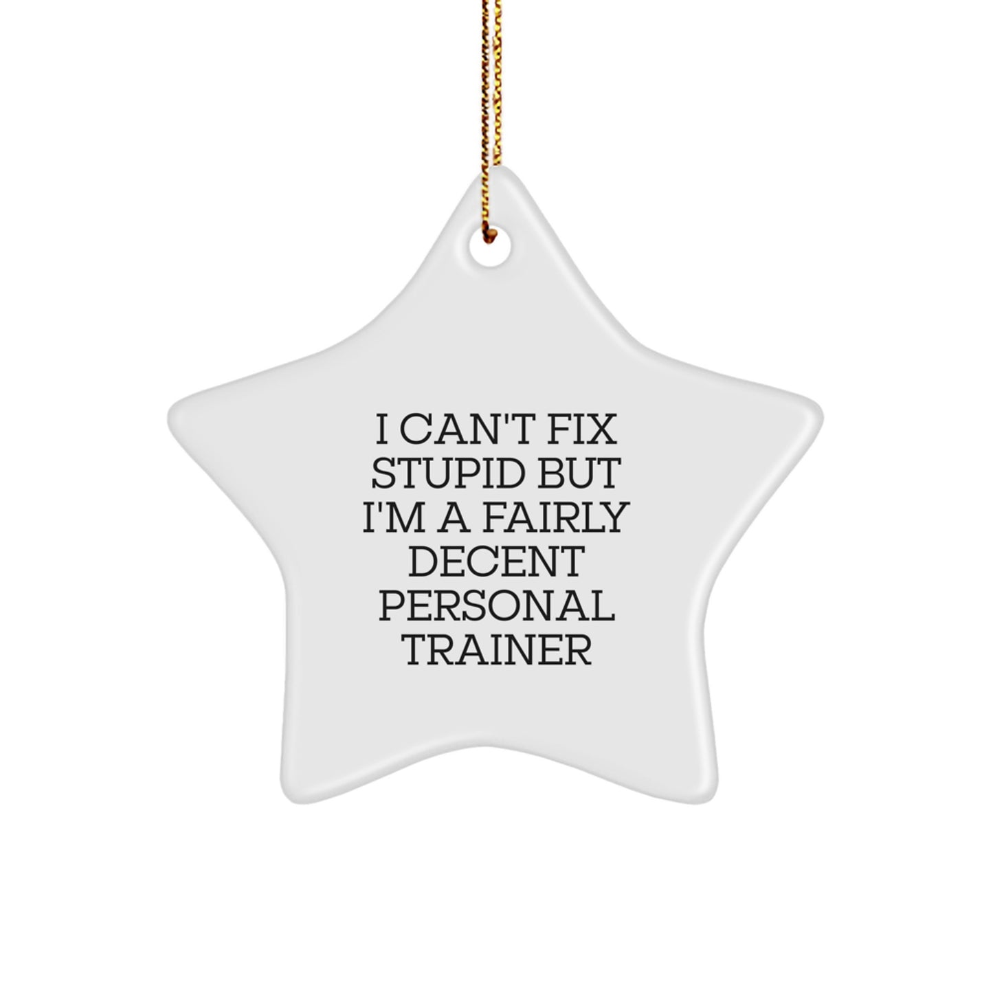 Funny Personal Trainer Gifts from Men to Coworkers, Star Ornament with 'I Can't Fix Stupid But I'm A Fairly Decent Personal Trainer', Christmas Unique Gifts - Image 1