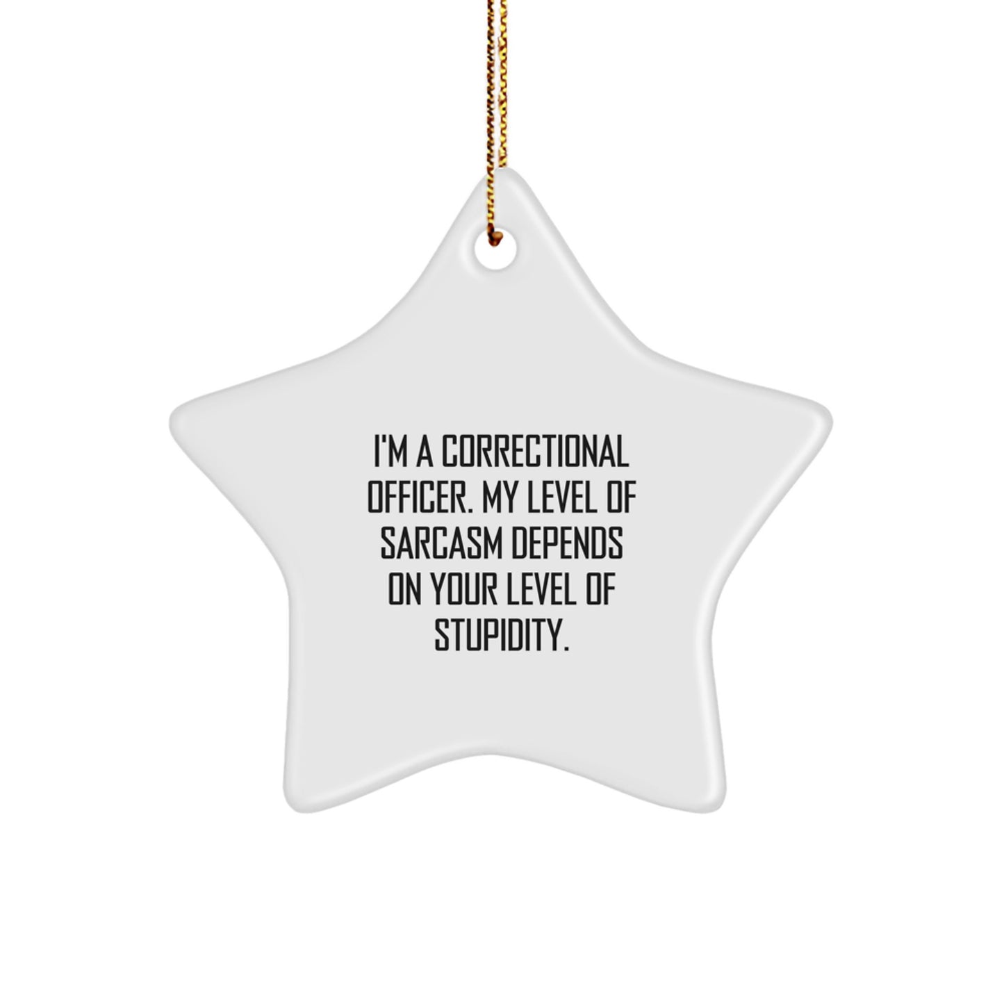 Correctional Officer Gifts: Funny Sarcasm Star Ornament for Christmas - Gifts from Men to Friends, Coworkers, Family - Image 1