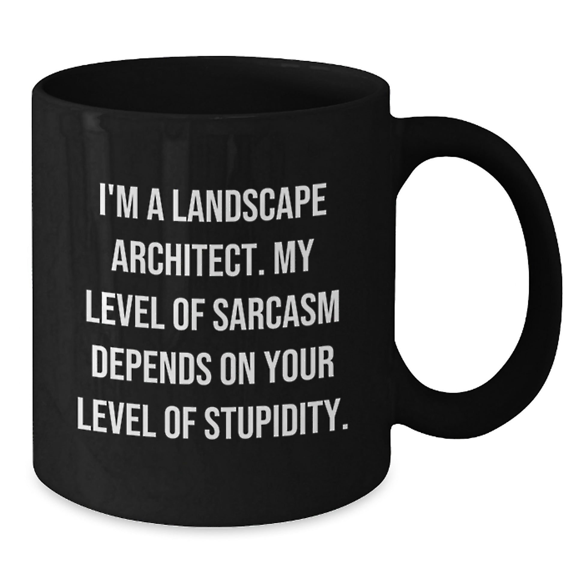 Sarcastic Landscape Architect Mug, Funny Birthday Unique Gifts from Friends, Unique Coffee Mugs for Landscape Architect, Black Ceramic Mugs with Sassy Quote - Additional