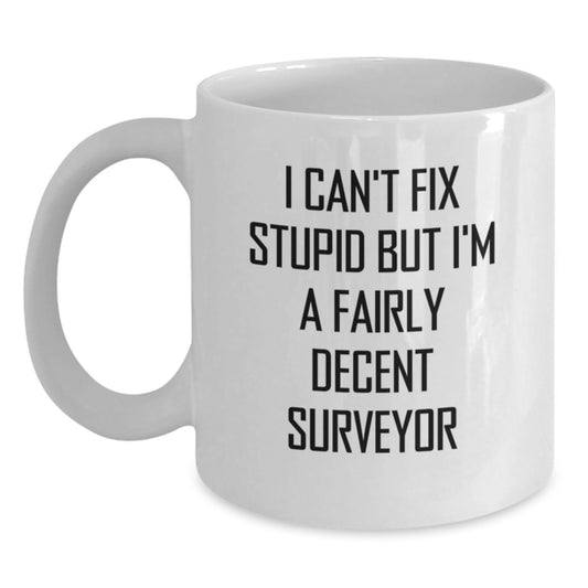 Funny Surveyor Gifts - White Coffee Mug - I Can't Fix Stupid But I'm A Fairly Decent Surveyor, Gifts from Friends, Birthday Unique Presents for Men Surveyors - Main