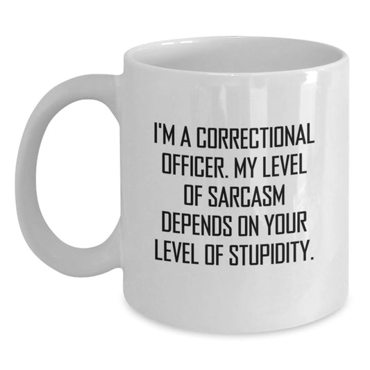 Funny Correctional Officer Gifts, Sarcasm Mug for Birthday, White Coffee Mug with Inspirational Quote, Gifts from Friends for Correctional Officer - Main