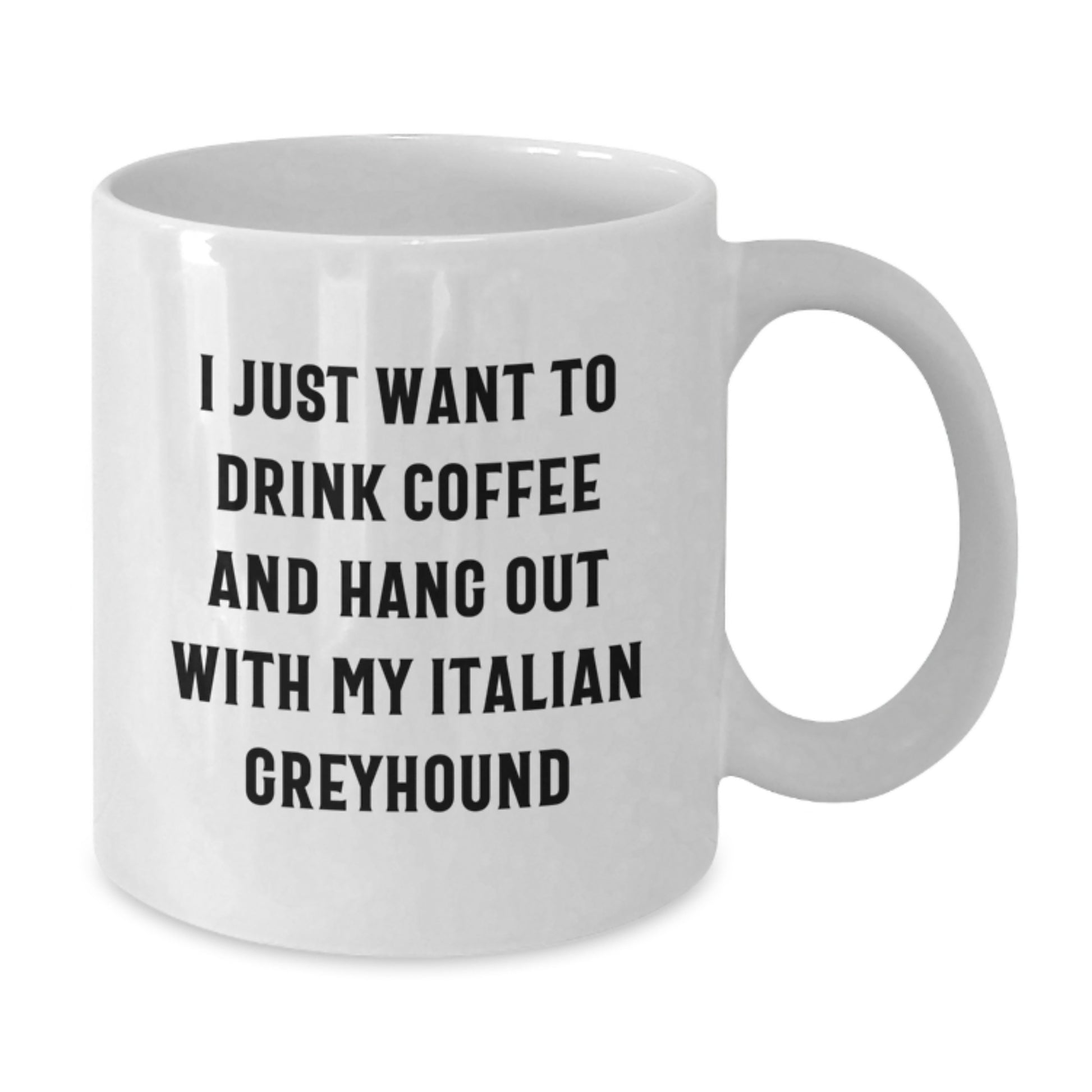 Funny Italian Greyhound Dog Lover Gifts from Friends for Birthday - 'I Just Want To Drink Coffee And Hang Out With My Italian Greyhound' Quote on White Ceramic Coffee Mug - Additional