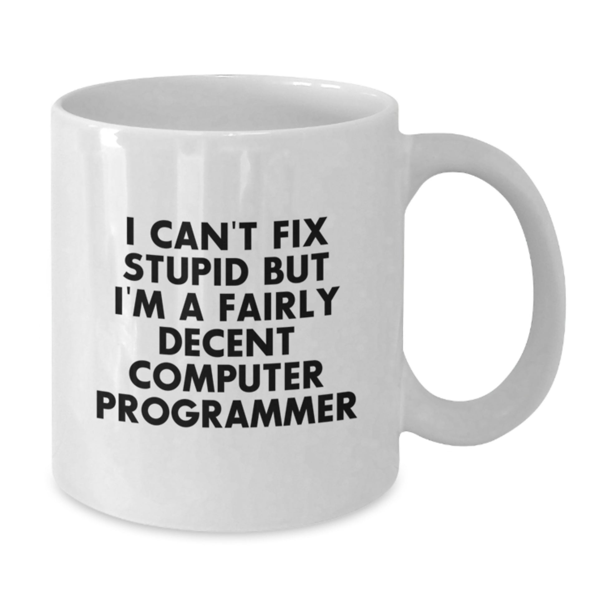 Funny Computer Programmer Gifts from Friends, White Coffee Mug, I Can't Fix Stupid But I'm A Fairly Decent Computer Programmer - Additional