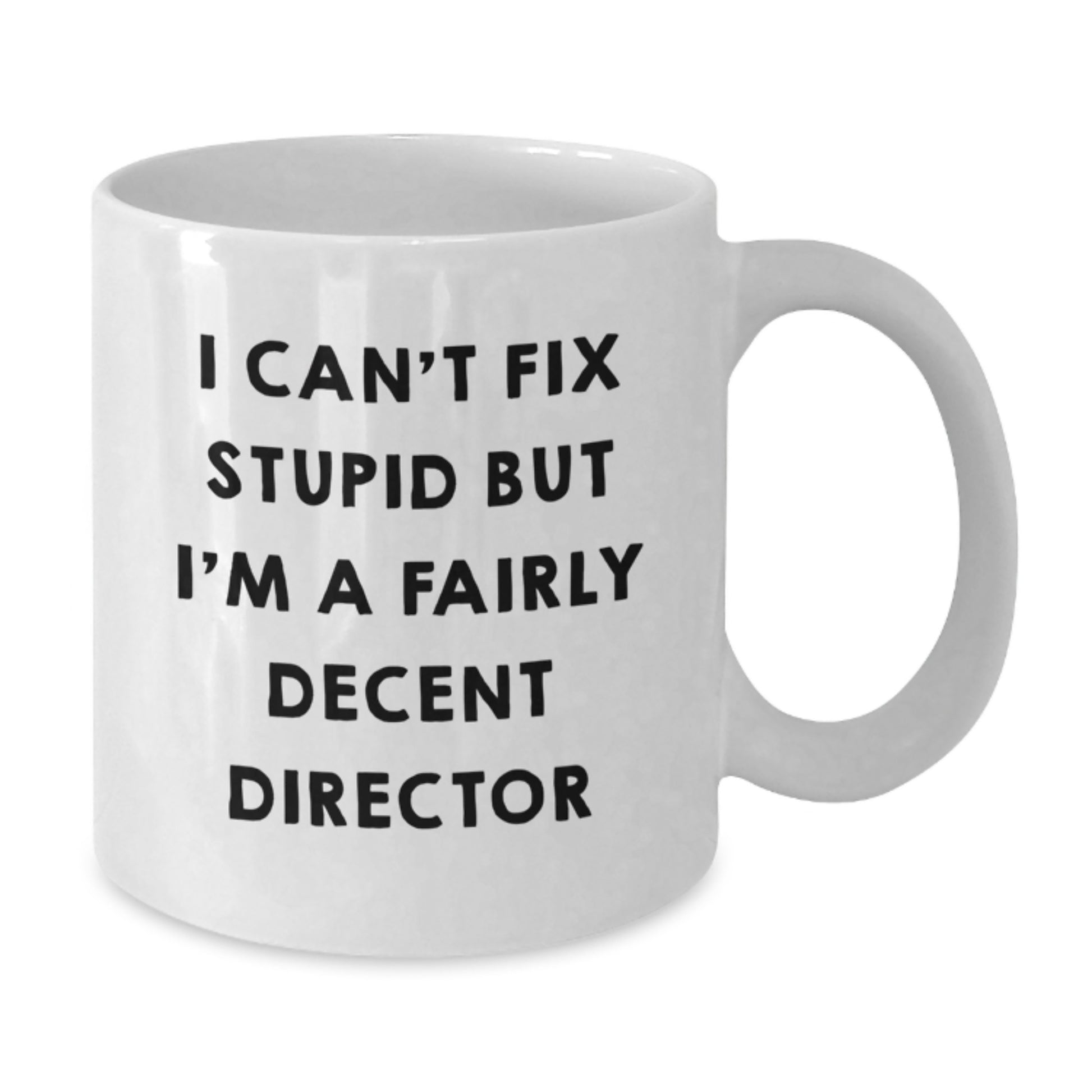 Funny Director Gift, I Can't Fix Stupid But I'm A Fairly Decent Director Quote White Coffee Mug, Gifts from Friends for Birthday - Additional