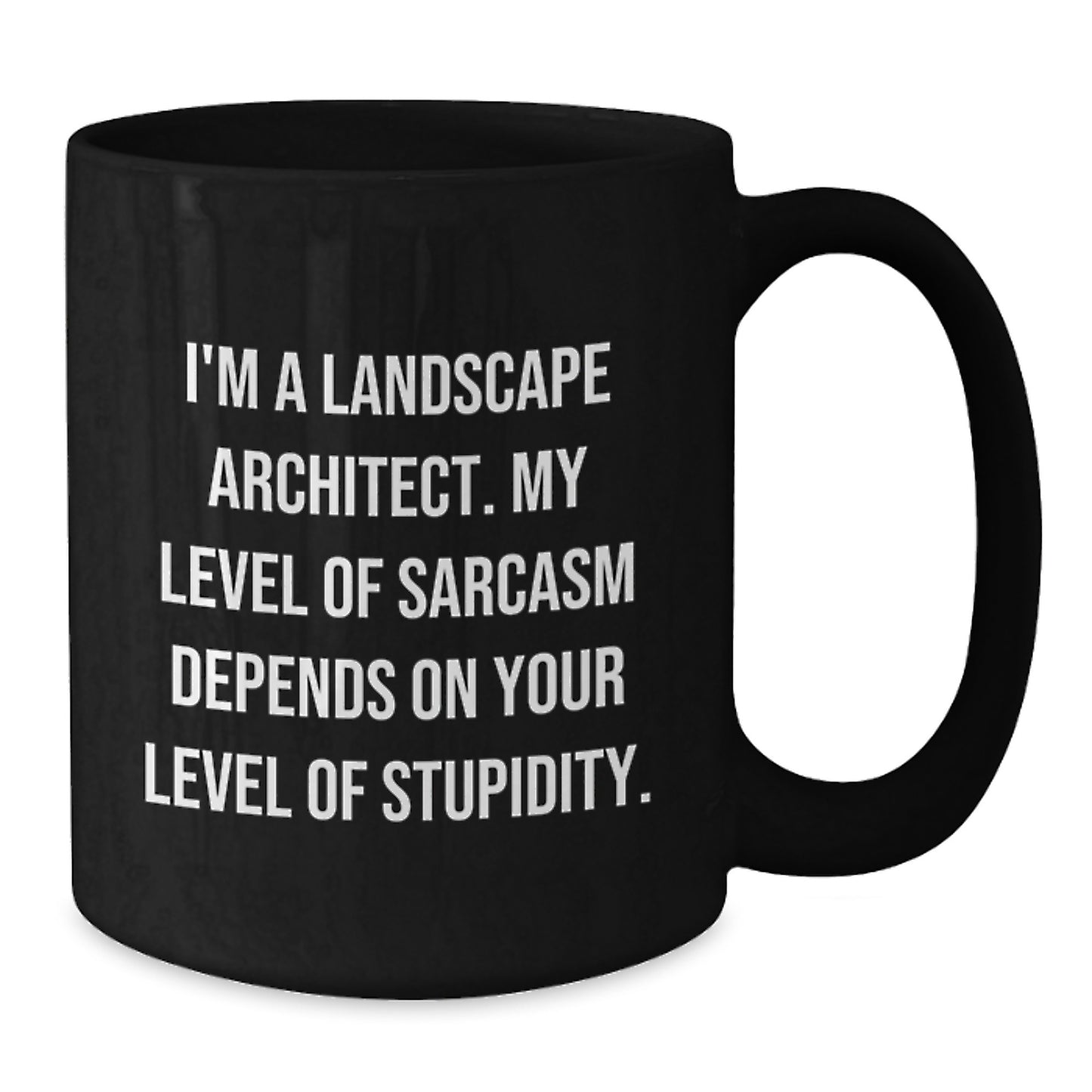 Sarcastic Landscape Architect Mug, Funny Birthday Unique Gifts from Friends, Unique Coffee Mugs for Landscape Architect, Black Ceramic Mugs with Sassy Quote - Additional