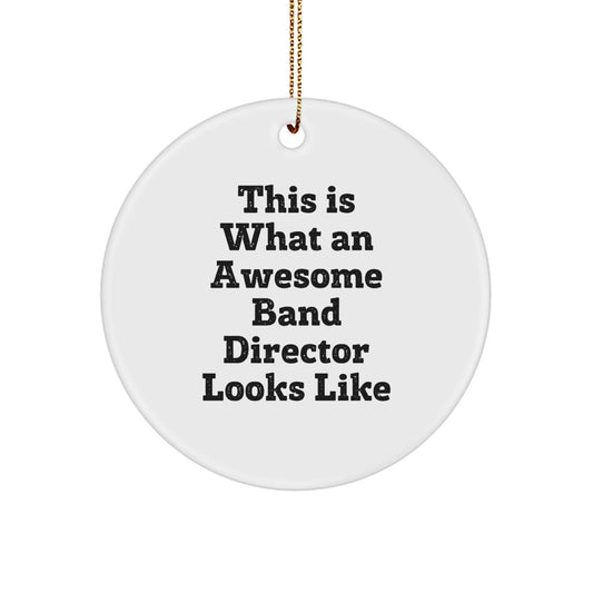 Funny Band Director Gifts - This Is What Awesome Looks Like - Circle Ornament for Christmas from Friends, Family, or Coworkers - Image 1