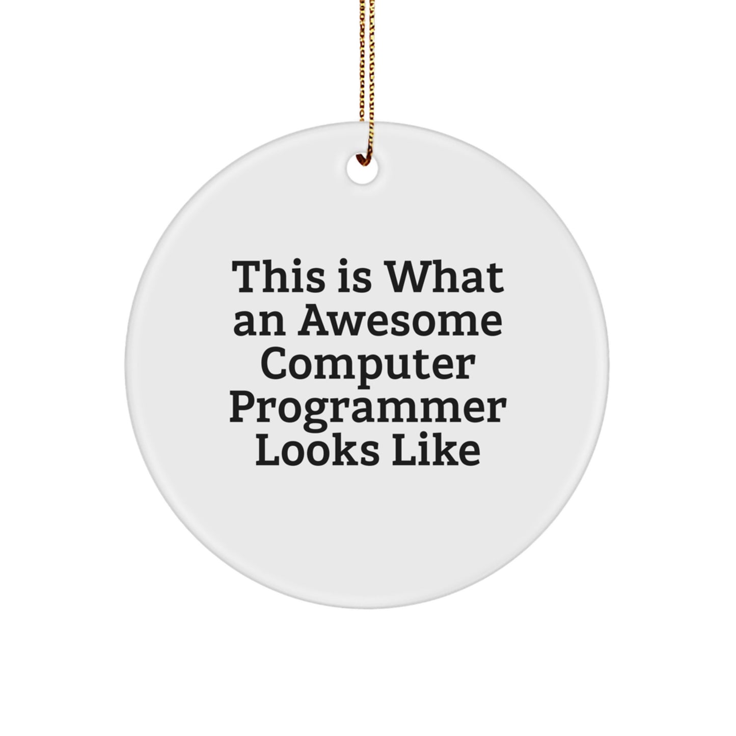 Funny Computer Programmer Gifts from Friends - This Is What An Awesome Circle Ornament Looks Like for Christmas - Image 1