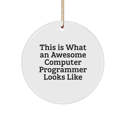 Funny Computer Programmer Gifts from Friends - This Is What An Awesome Circle Ornament Looks Like for Christmas - Image 1