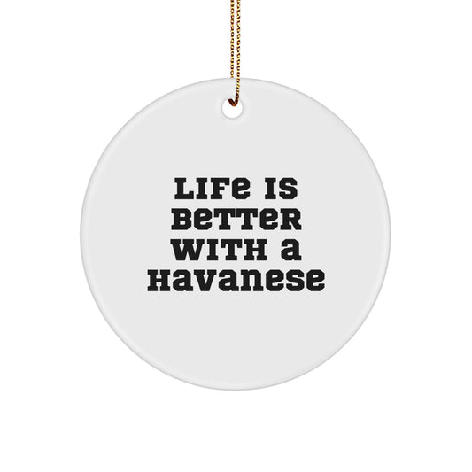 Havanese Dog Lovers Gifts from Family - Life Is Better With A Havanese, Circle Ornament for Christmas - Image 1