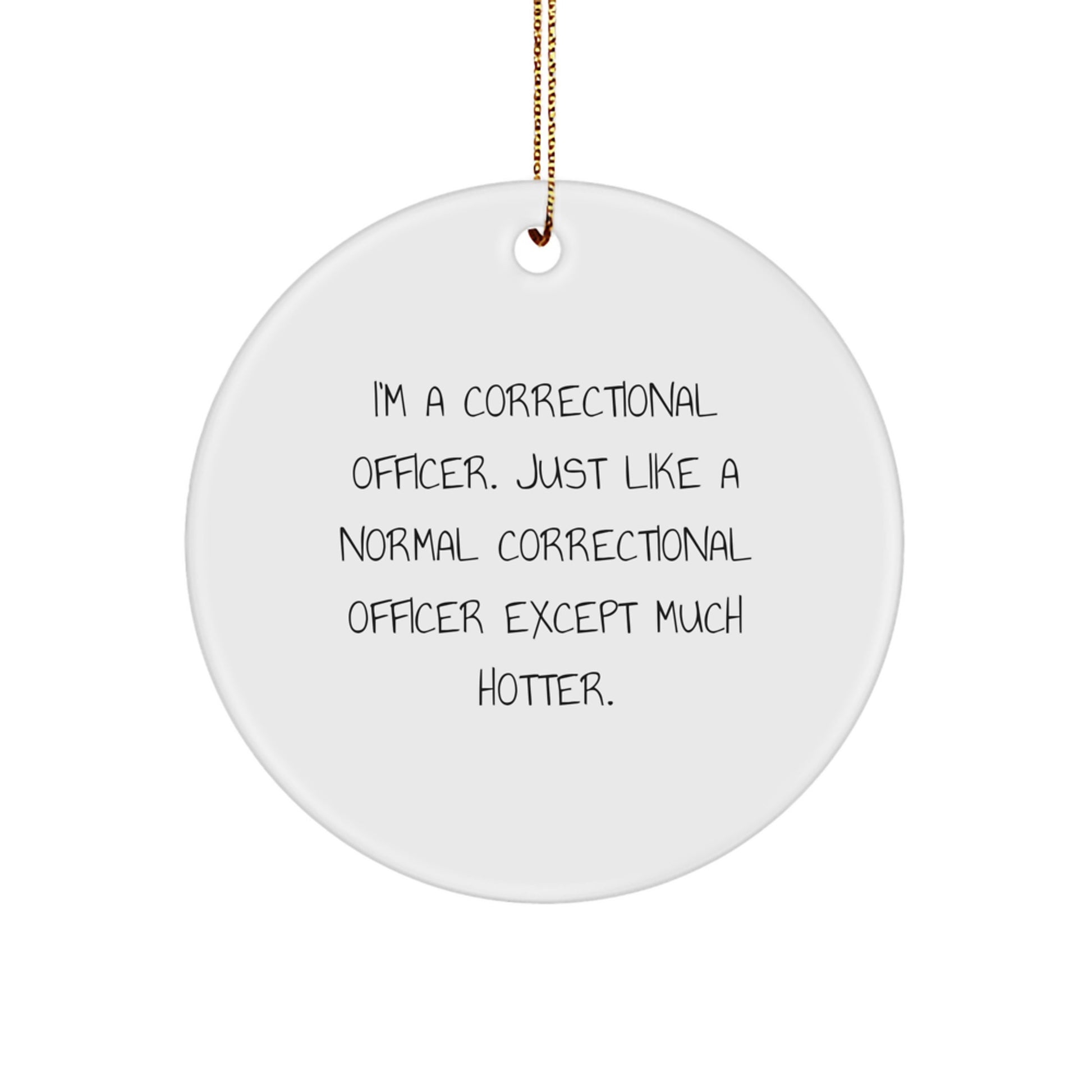 Correctional Officer Gifts, Funny Circle Ornament, 'I'm A Correctional Officer. Just Like A Normal Correctional Officer Except Much Hotter.' Christmas Unique Gifts from Friends - Image 1