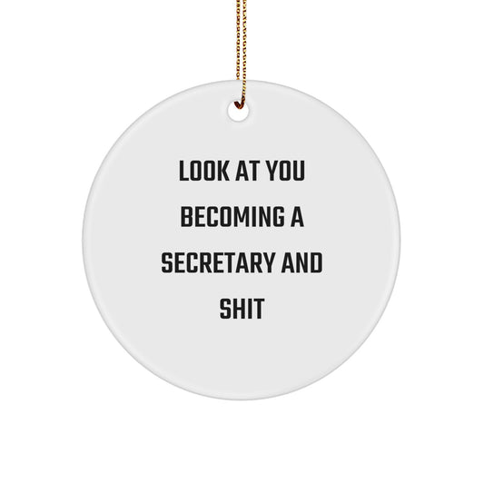 Witty Secretary Circle Ornament for Christmas Unique Gifts from Friends, Humorous Office Decor - Image 1