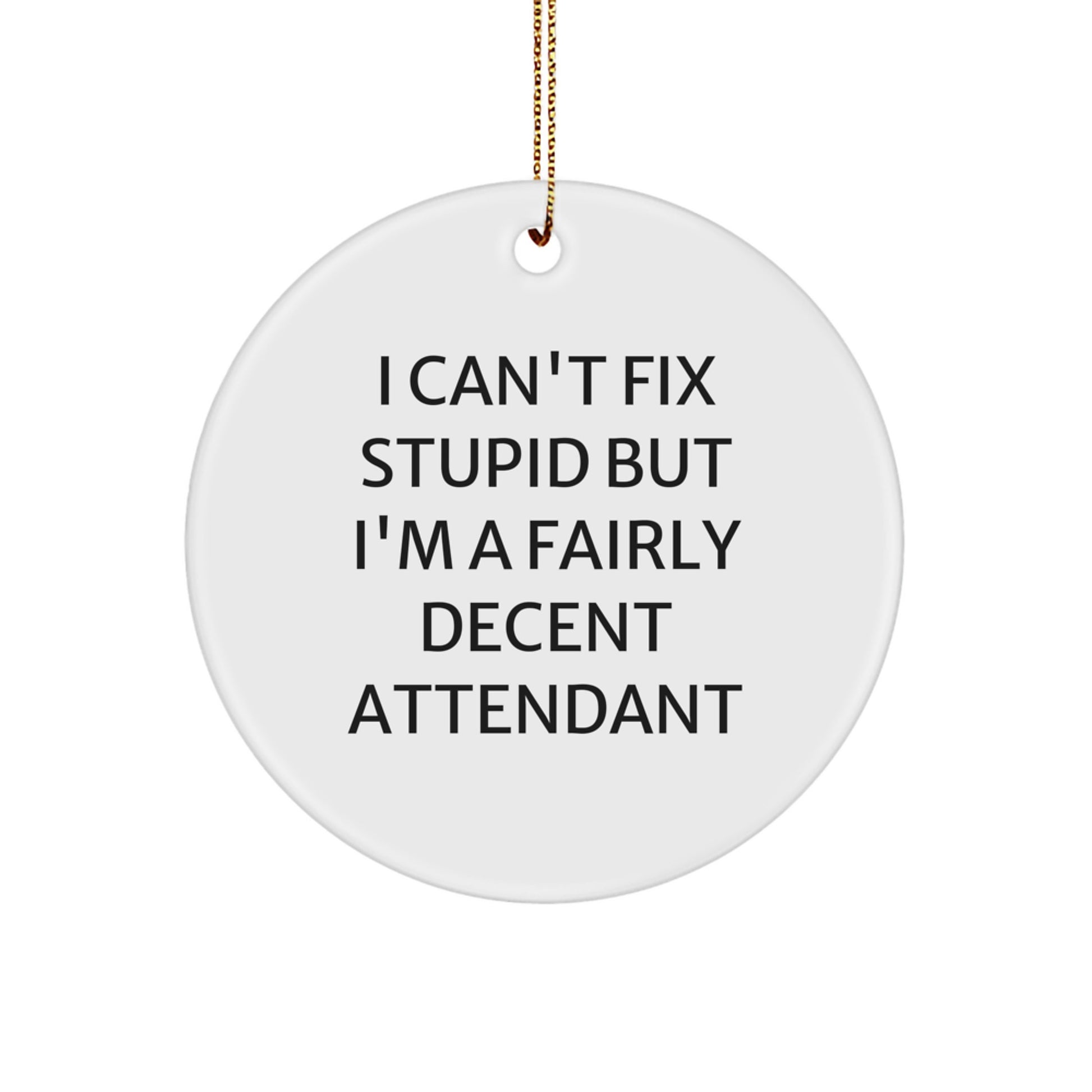 Christmas Attendant Gifts from Friends and Family - I Can't Fix Stupid But I'm A Fairly Decent Attendant Circle Ornament - Image 1
