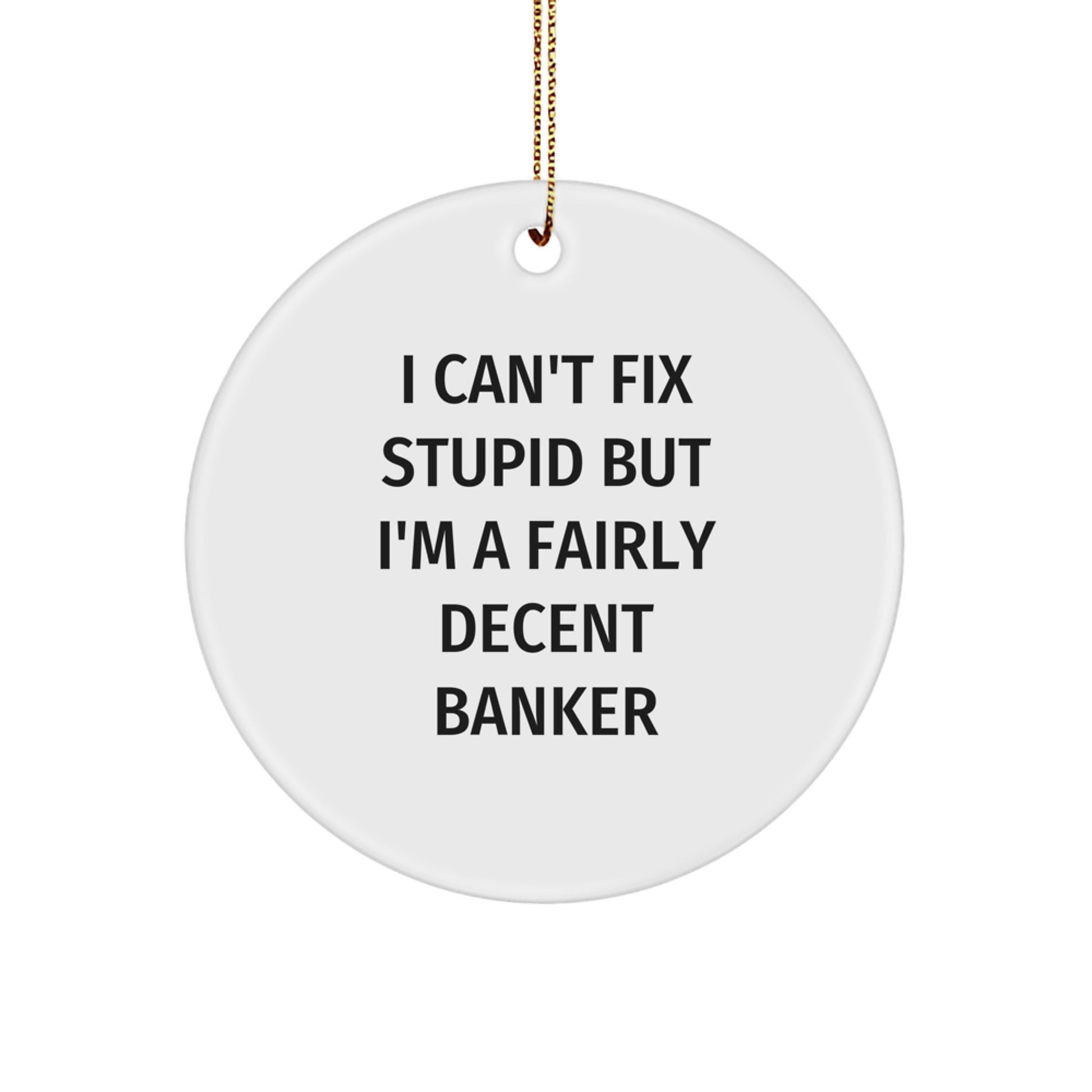 Funny Banker Gifts from Friends to Men, Circle Ornament 'I Can't Fix Stupid But I'm A Fairly Decent Banker' Christmas Unique Presents - Image 1