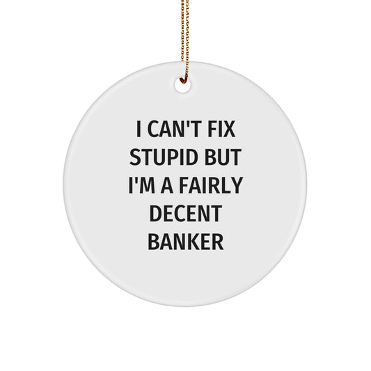 Funny Banker Gifts from Friends to Men, Circle Ornament 'I Can't Fix Stupid But I'm A Fairly Decent Banker' Christmas Unique Presents - Image 1