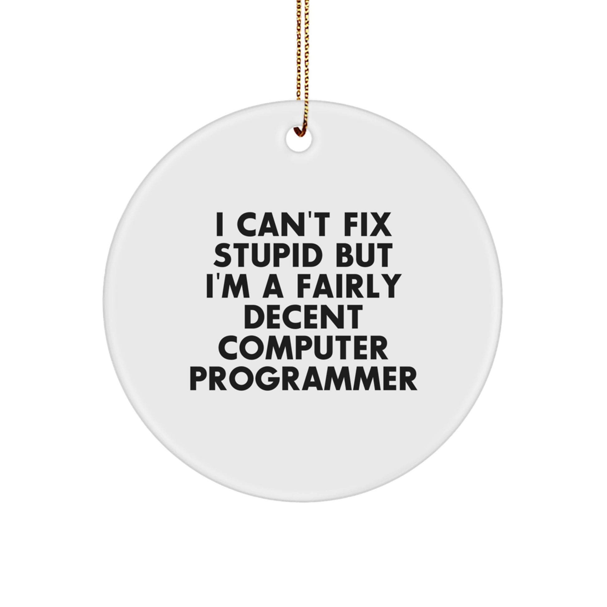 Funny Computer Programmer Gifts from Friends - 'I Can't Fix Stupid' Circle Ornament for Christmas - Image 1