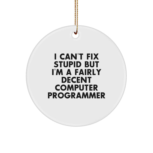 Funny Computer Programmer Gifts from Friends - 'I Can't Fix Stupid' Circle Ornament for Christmas - Image 1