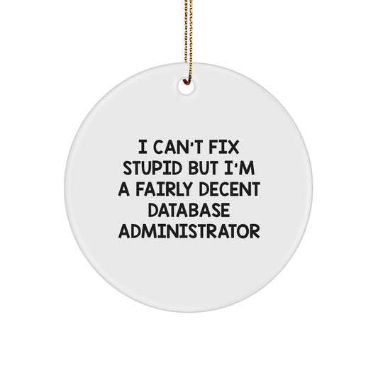 Database Administrator Gifts: I Can't Fix Stupid But I'm A Fairly Decent DBA, Funny Circle Ornament for Christmas - Image 1