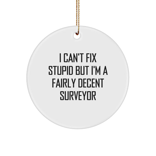 Funny Surveyor Gifts for Surveyor Friends - I Can't Fix Stupid But I'm A Fairly Decent Surveyor Circle Ornament, White, 2.75" Tall, Christmas Unique Gifts from Friends - Image 1
